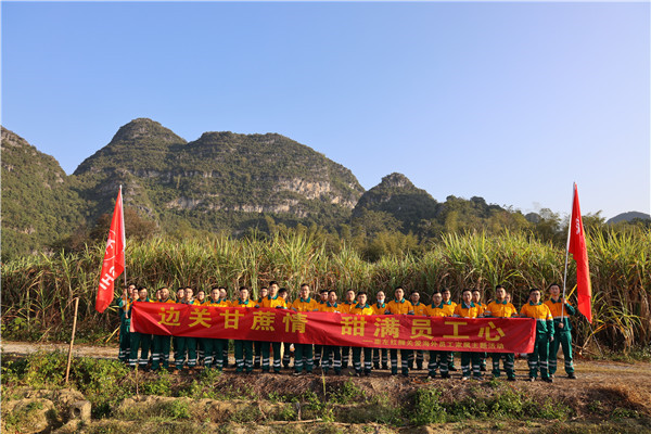 边关甘蔗情，“甜”满员工心—崇左和记娱乐助海外员工家属收甘蔗